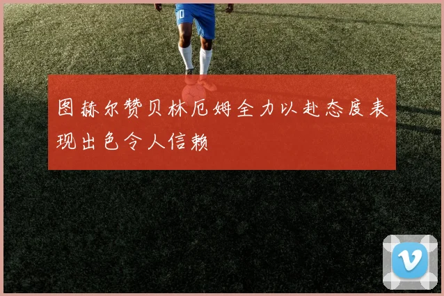 图赫尔赞贝林厄姆全力以赴态度表现出色令人信赖