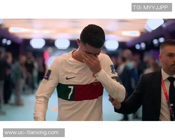 葡萄牙足协主席称球队去年成就斐然今年力争世界杯冠军